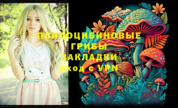 кокаин перу Дмитриев