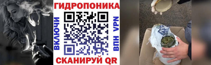 Купить закладки  Качканар  Бошки марихуана семена 
